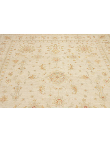 Tappeto Zigler Pakistan cm.245x295