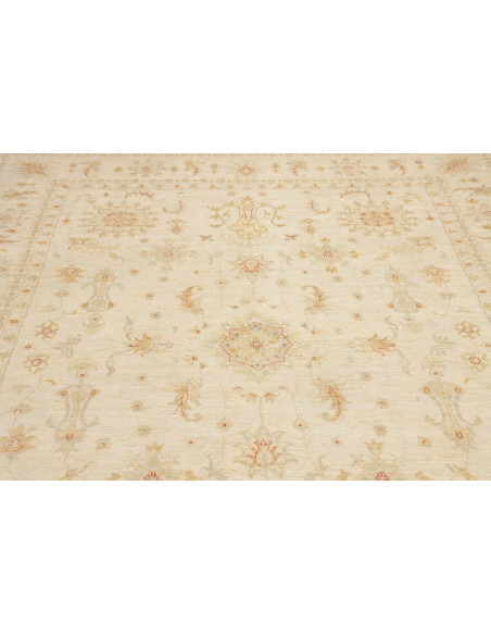 Tappeto Zigler Pakistan cm.245x295