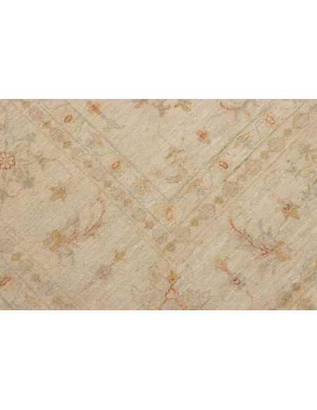 Tappeto Zigler Pakistan cm.248x346