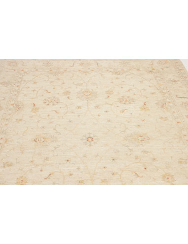 Tappeto Zigler Pakistan cm.215x285