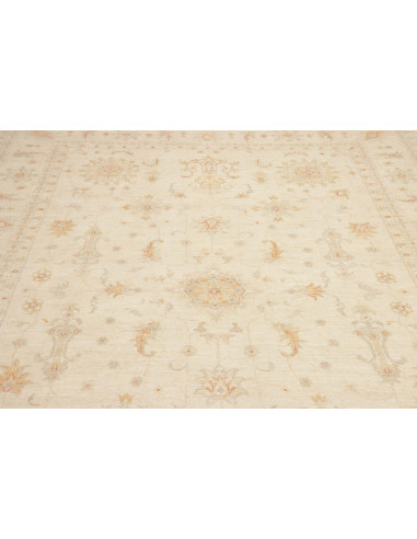 Tappeto Zigler Pakistan cm.248x346