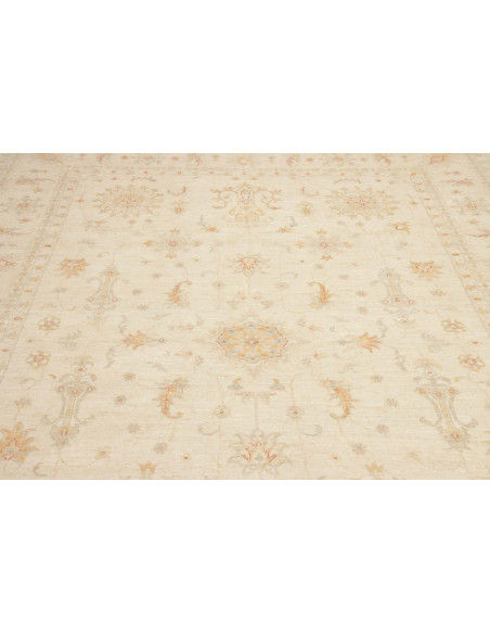 Tappeto Zigler Pakistan cm.248x346