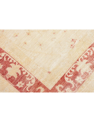 Tappeto Zigler Pakistan cm.210x285