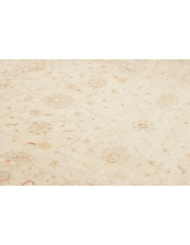 Tappeto Zigler Pakistan cm.215x285