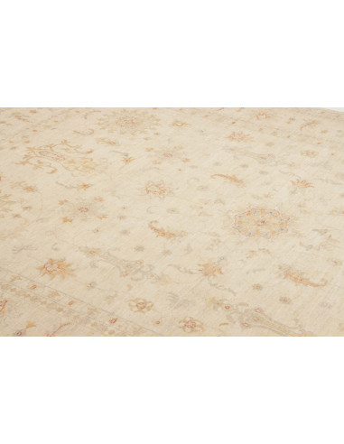 Tappeto Zigler Pakistan cm.248x346