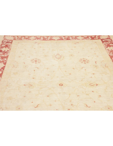 Tappeto Zigler Pakistan cm.210x285