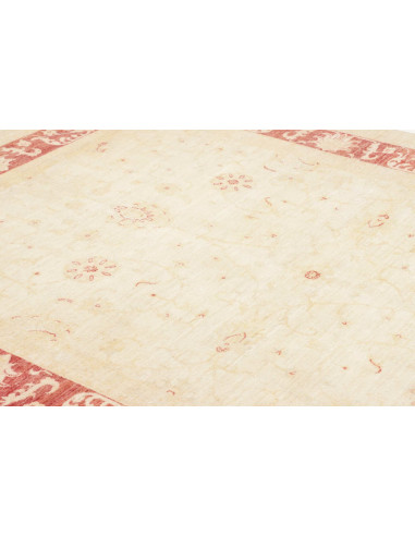 Tappeto Zigler Pakistan cm.210x285