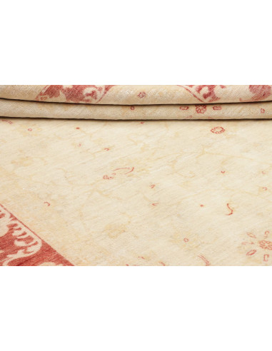 Tappeto Zigler Pakistan cm.210x285