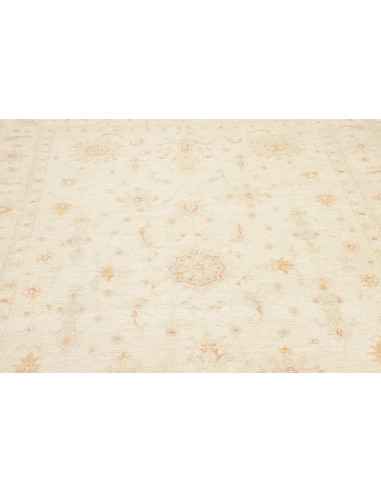 Tappeto Zigler Pakistan cm.204x295