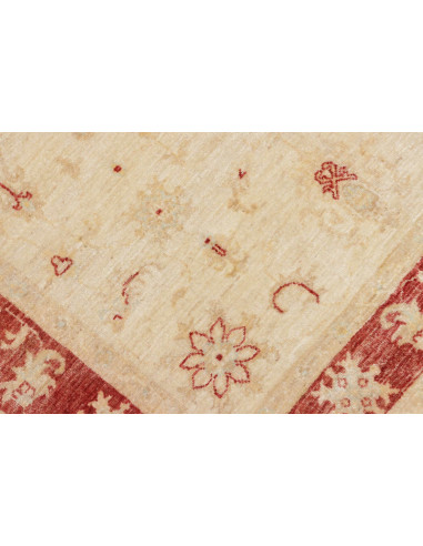 Tappeto Zigler Pakistan cm.122x175