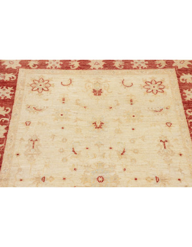 Tappeto Zigler Pakistan cm.122x175