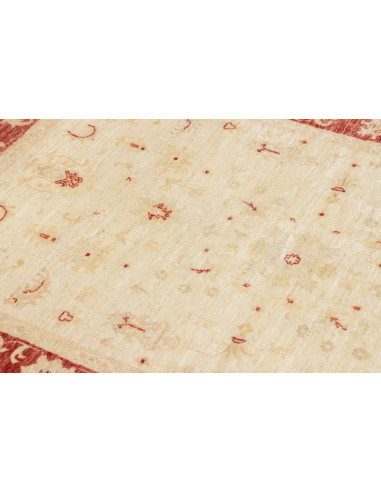 Tappeto Zigler Pakistan cm.122x175