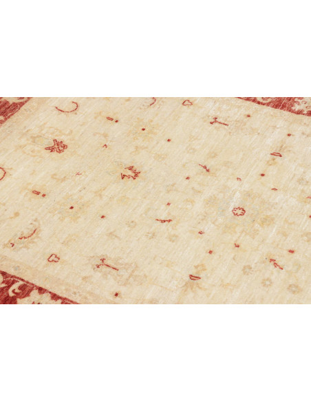 Tappeto Zigler Pakistan cm.122x175