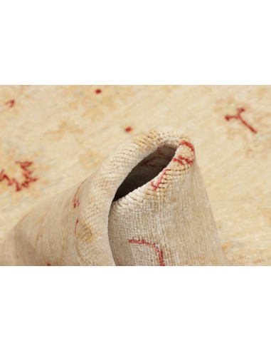 Tappeto Zigler Pakistan cm.122x175