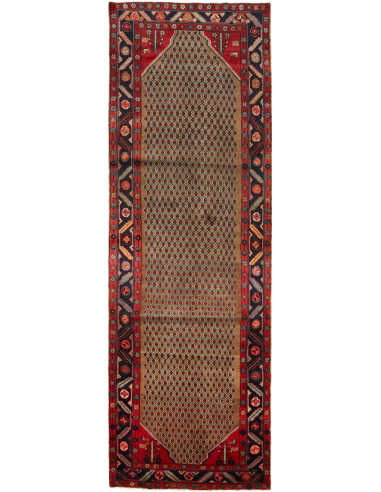 Tappeto Hamadan Persia cm.117x365