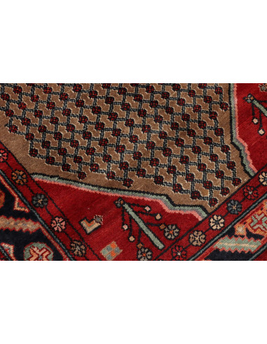 Tappeto Hamadan Persia cm.117x365