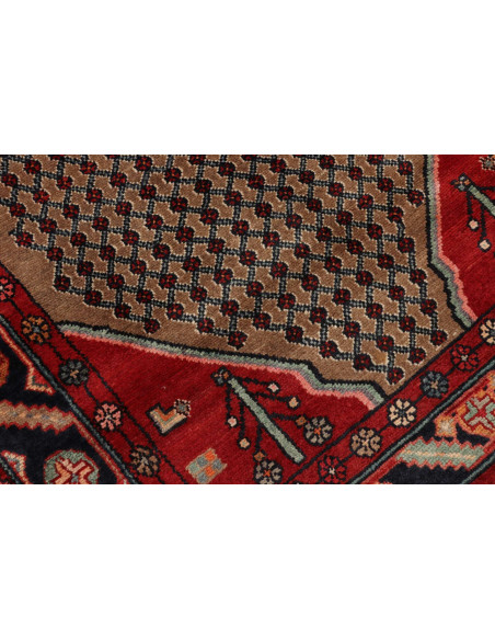 Tappeto Hamadan Persia cm.117x365