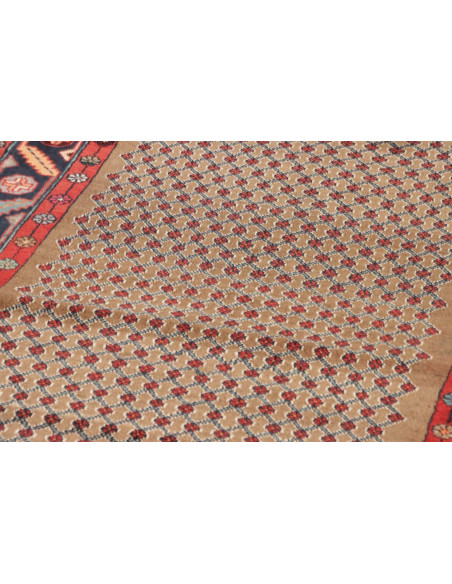 Tappeto Hamadan Persia cm.117x365