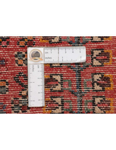 Tappeto Hamadan Persia cm.103x160