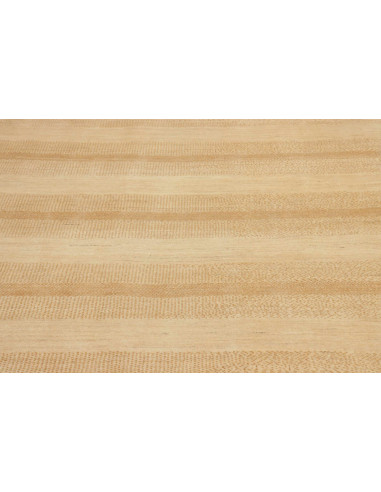 Tappeto Shayan Fine Pakistan cm.176x246