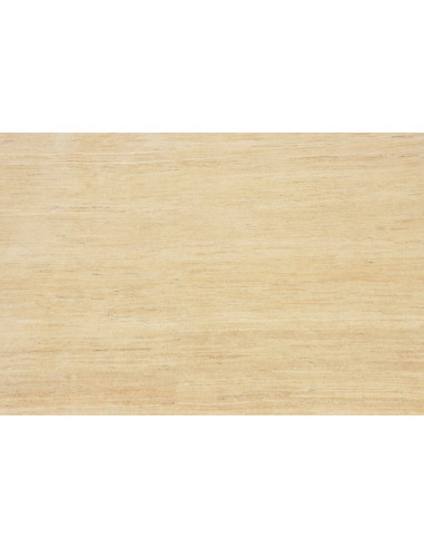 Tappeto Shayan Fine Pakistan cm.149x196