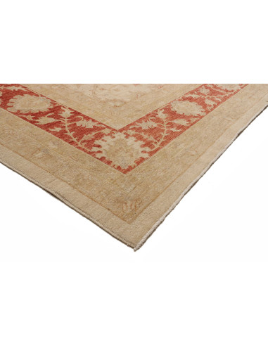 Tappeto Zigler Pakistan cm.305x409