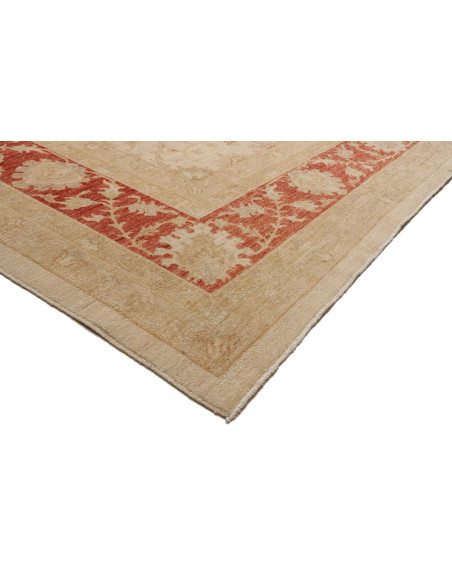 Tappeto Zigler Pakistan cm.305x409