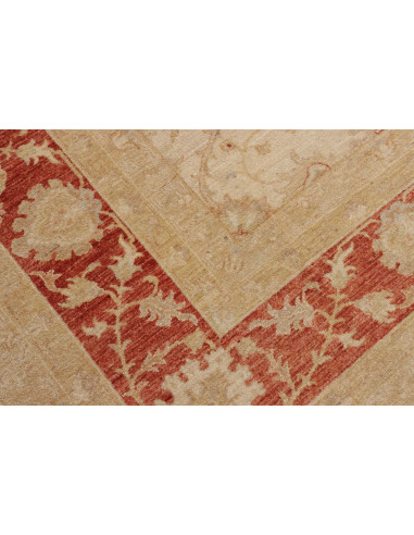 Tappeto Zigler Pakistan cm.305x409