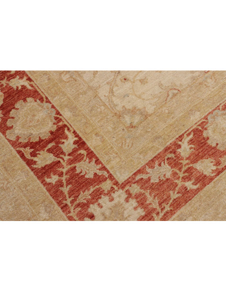 Tappeto Zigler Pakistan cm.305x409