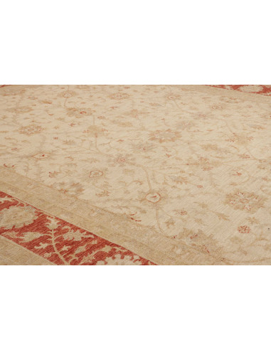 Tappeto Zigler Pakistan cm.305x409