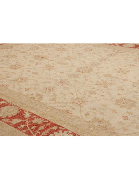 Tappeto Zigler Pakistan cm.305x409