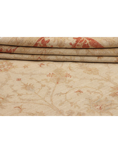 Tappeto Zigler Pakistan cm.305x409