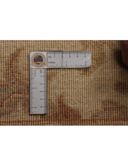 Tappeto Zigler Pakistan cm.305x409