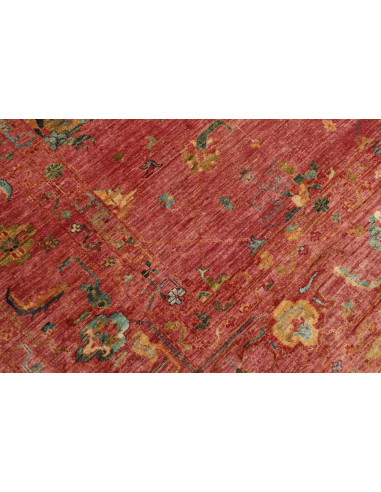 Tappeto Zigler Pakistan cm.244x339