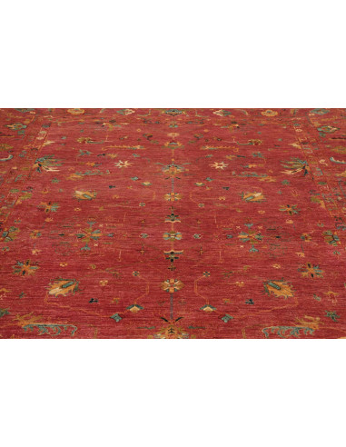 Tappeto Zigler Pakistan cm.244x339