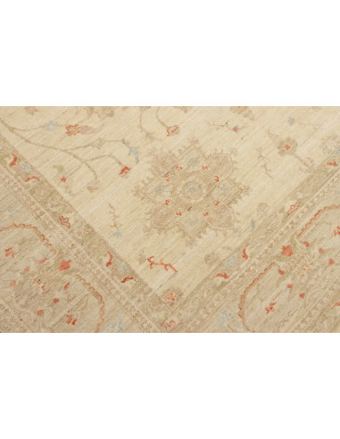 Tappeto Zigler Pakistan cm.248x297