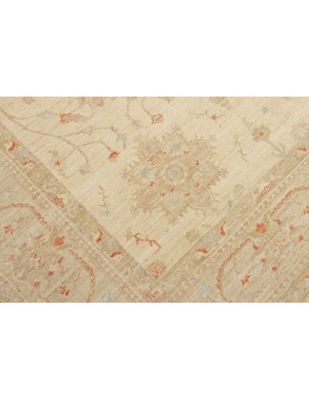 Tappeto Zigler Pakistan cm.248x297