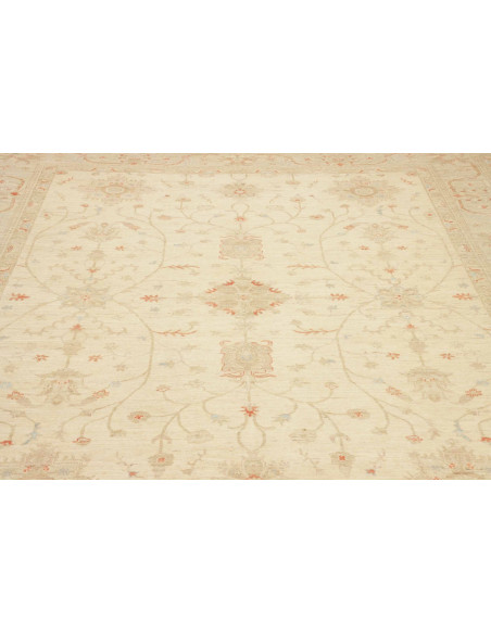 Tappeto Zigler Pakistan cm.248x297