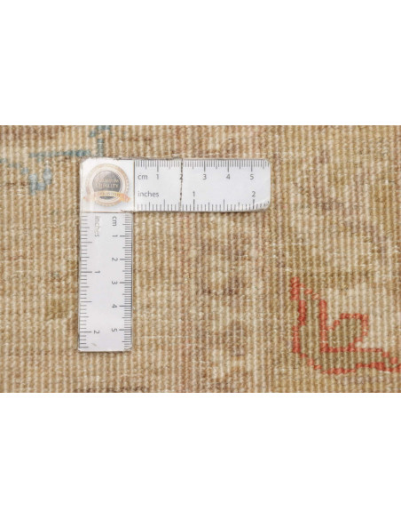 Tappeto Zigler Pakistan cm.248x297