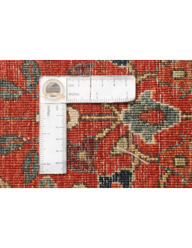 Tappeto Zigler Fine Pakistan cm.314x417