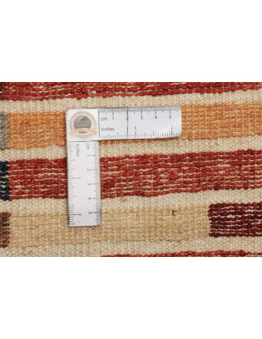 Tappeto Barjeste Pakistan cm.241x296