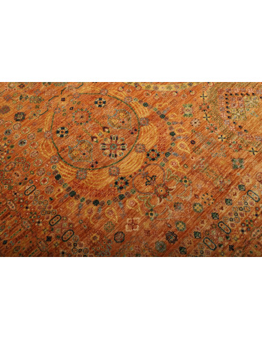 Tappeto Shahi Fine Pakistan cm.245x304