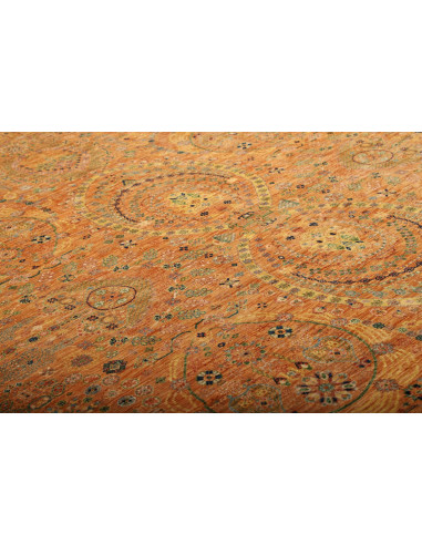 Tappeto Shahi Fine Pakistan cm.245x304