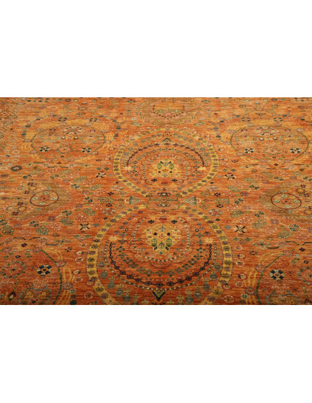 Tappeto Shahi Fine Pakistan cm.245x304