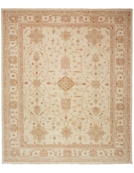 Tappeto Zigler Pakistan cm.246x295