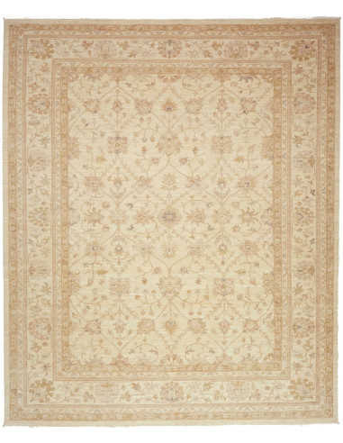 Tappeto Zigler Pakistan cm.249x300