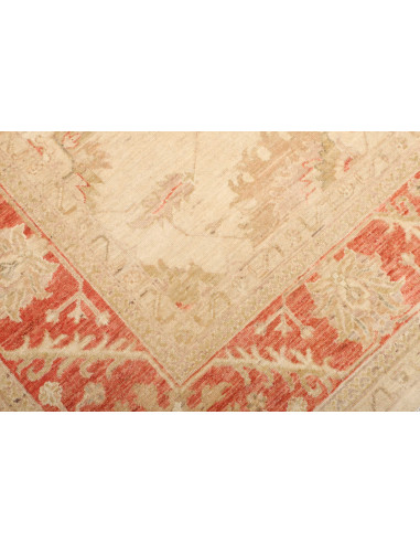 Tappeto Zigler Pakistan cm.197x248