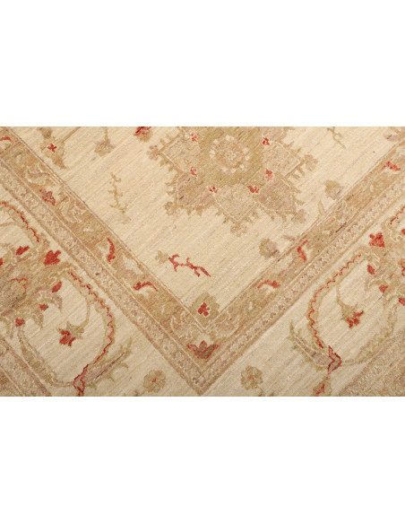 Tappeto Zigler Pakistan cm.246x295