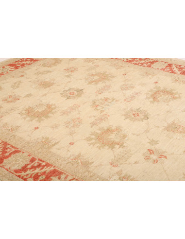 Tappeto Zigler Pakistan cm.197x248
