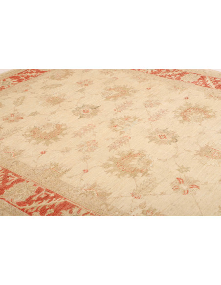 Tappeto Zigler Pakistan cm.197x248